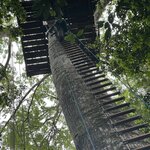 Photo taken by Deborah S