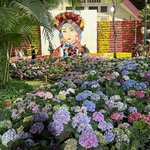 Photo taken by Debra Z