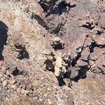 Photo taken by Sharon H