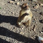 Photo taken by WILLIAM B