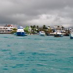 Photo taken by Natascia V