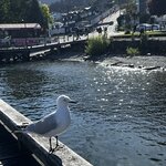 Photo taken by Judah J