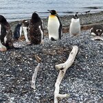 Photo taken by Kailan S