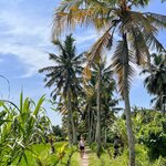 Photo taken by Jon P