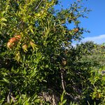 Photo taken by Stephanie J