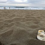 Photo taken by Anna A