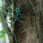 Photo taken by Mordechay T