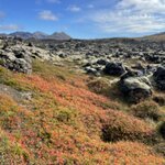 Photo taken by Nan K