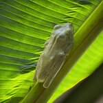 Photo taken by Martin L