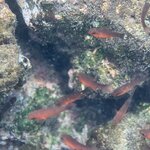 Photo taken by Lisa P