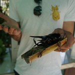 Photo taken by Alexandra G