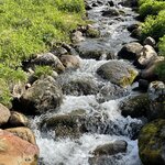 Photo taken by Susan K