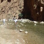 Photo taken by WILLIAM B