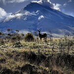 Photo taken by Kayla H