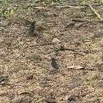 Photo taken by Jason C