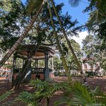 Photo taken by Dan C