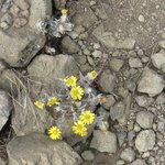 Photo taken by Kristin M