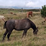 Photo taken by Elise C