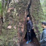 Photo taken by Kolla S