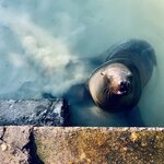 Photo taken by Katarzyna W