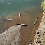 Photo taken by Ram R