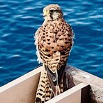 Photo taken by Ken N