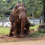 Photo taken by Audrea H