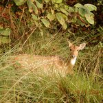 Photo taken by Wayne D