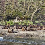 Photo taken by Stefani C