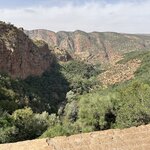 Photo taken by Betsy V