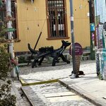 Photo taken by Courtney W