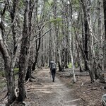 Photo taken by Manon G