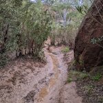 Photo taken by Cynthia D