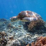 Photo taken by Dixie W