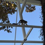 Photo taken by Morton A