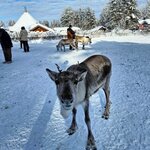 Photo taken by Caitlin P