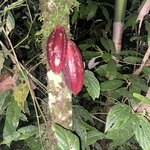 Photo taken by Nina S