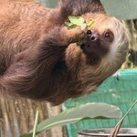 Photo taken by SANTHI S