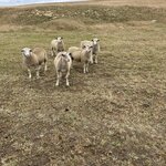 Photo taken by Amy Z