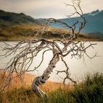 Photo taken by timothy m