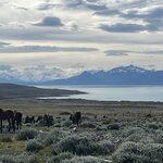 Photo taken by Manon G