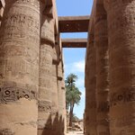 Photo taken by Chris M