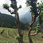 Photo taken by Jeroen v