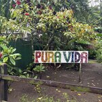 Photo taken by Trish G