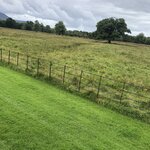 Photo taken by Helen C