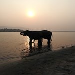 Photo taken by Katherine J