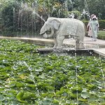 Photo taken by Mary R