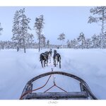 Photo taken by Ann B