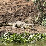 Photo taken by Michael L