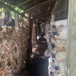 Photo taken by Ricky B